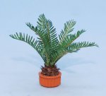 Sago Palm Half-inch scale