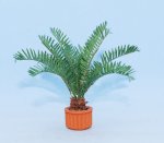 Sago Palm One-inch scale