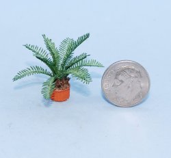 Sago Palm Quarter-inch scale