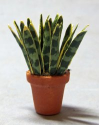 Snake Plant in a Terra Cotta Pot Half-inch scale