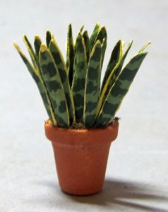 Snake Plant in a Terra Cotta Pot Half-inch scale