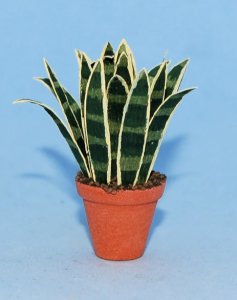 Snake Plant in a Terra Cotta Pot One-inch scale