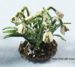 Snow Drop Half-inch scale