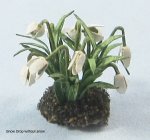 Snow Drop One-inch scale