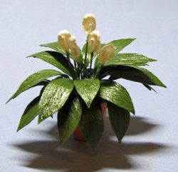 Spathiphyllum in a Terra Cotta Pot One-inch scale