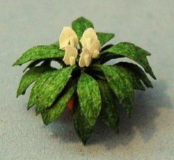 Spathiphyllum in a Pot Quarter-inch scale
