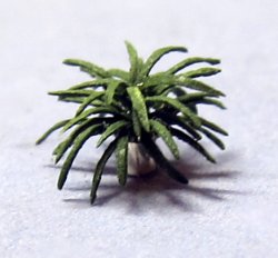 Spider Plant in a Bead 1/144th scale