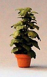 Split-Leaf Philodendron in a Pot Quarter-inch scale