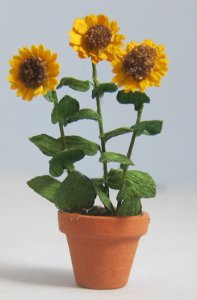 Sunflower in a Terra Cotta Pot Half-inch scale