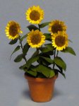 Sunflower in a Terra Cotta Pot One-inch scale