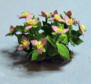 Trillium Half-inch scale