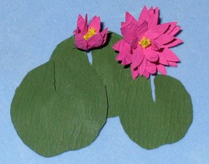 Waterlily One-inch scale
