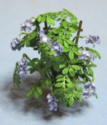 Wisteria on a Trellis in a Pot Quarter-inch scale