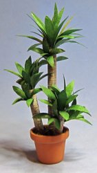 Yucca in a Terra Cotta Pot Half-inch scale