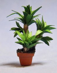 Yucca in a Pot Quarter-inch scale