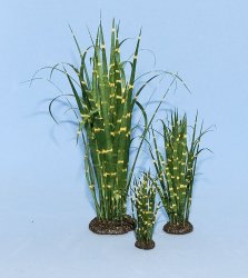 Zebra Grass Half-inch scale