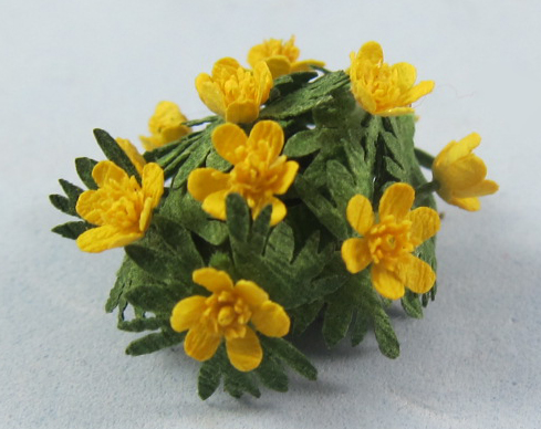 Aconite One-inch scale - Click Image to Close