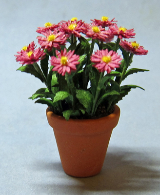 Aster in a Terra Cotta Pot One-inch scale - Click Image to Close