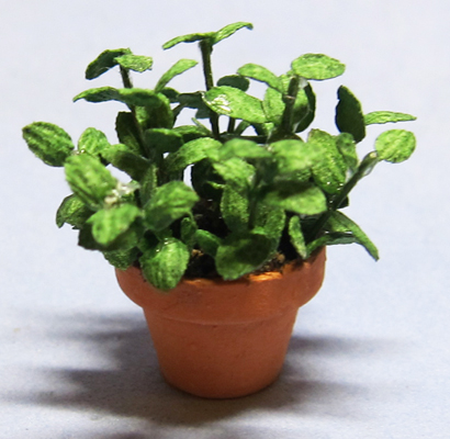 Herb-Basil Plant in a Terra Cotta Pot One-inch scale - Click Image to Close