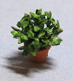 Herb-Basil Plant in a Terra Cotta Pot Quarter-inch scale - Click Image to Close