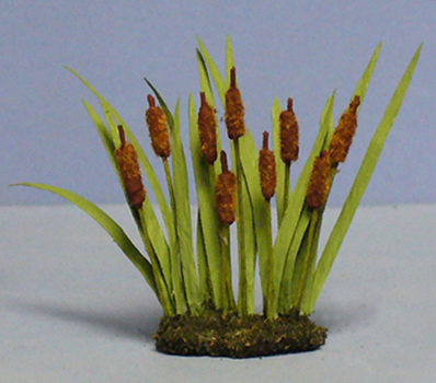 Cattails Half-inch scale - Click Image to Close