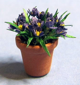 Crocus in a Terra Cotta Pot Half-inch scale - Click Image to Close