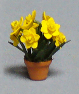 Daffodil in a Terra Cotta Pot Quarter-inch scale