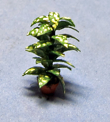Dieffenbachia in a Terra Cotta Pot 1/144th scale - Click Image to Close