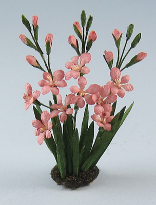 Gladiolus One-inch scale - Click Image to Close