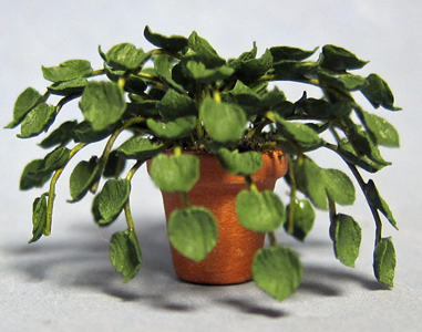 Heart-Leaf Philodendron in a Terra Cotta Pot Half-inch scale - Click Image to Close