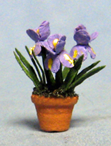 Iris in a Terra Cotta Pot Quarter-inch scale - Click Image to Close