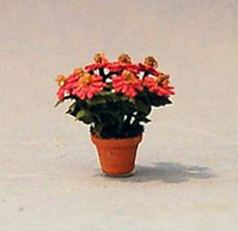 Coneflower in a Terra Cotta Pot Quarter-inch scale