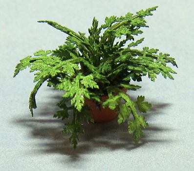 Herb-Parsley Plant in a Terra Cotta Pot Half-inch scale - Click Image to Close