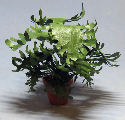 Lacy Philodendron in a Terra Cotta Pot One-inch scale - Click Image to Close