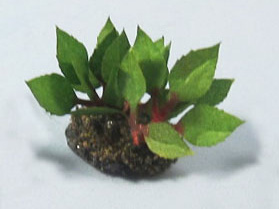 Poison Ivy Half-inch scale