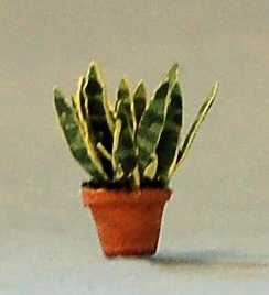 Snake Plant in a Terra Cotta Pot Quarter-inch scale - Click Image to Close