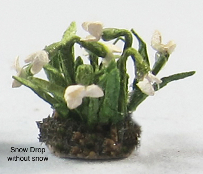Snow Drop Quarter-inch scale - Click Image to Close