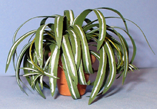 Spider Plant in a Terra Cotta Pot One-inch scale - Click Image to Close