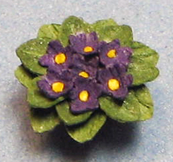 African Violet in a Terra Cotta Pot Quarter-inch scale