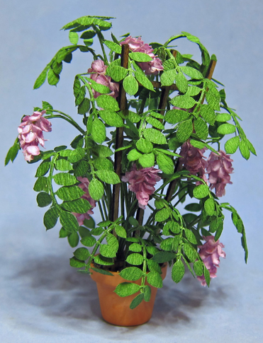 Wisteria on a Trellis in a Terra Cotta Pot One-inch scale - Click Image to Close